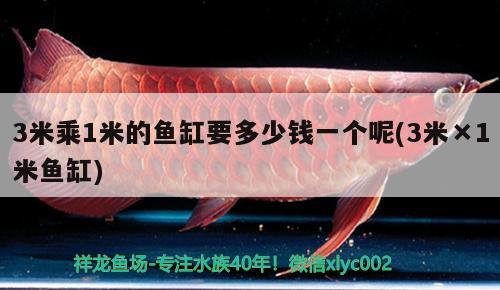 3米乘1米的魚缸要多少錢一個呢(3米×1米魚缸)