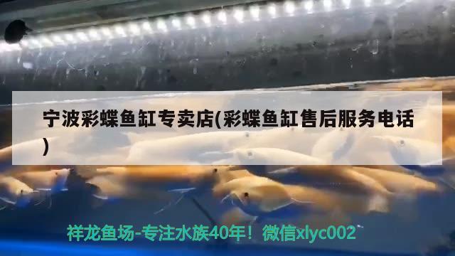 寧波彩蝶魚缸專賣店(彩蝶魚缸售后服務(wù)電話) 彩鰈魚缸（彩蝶魚缸）