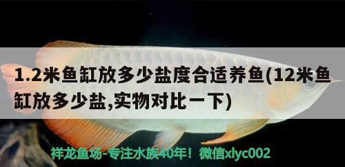 1.2米魚缸放多少鹽度合適養(yǎng)魚(12米魚缸放多少鹽,實(shí)物對比一下)