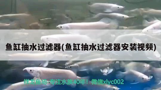 魚(yú)缸抽水過(guò)濾器(魚(yú)缸抽水過(guò)濾器安裝視頻) 鸚鵡魚(yú)