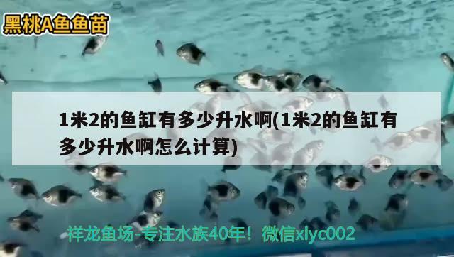 1米2的魚(yú)缸有多少升水啊(1米2的魚(yú)缸有多少升水啊怎么計(jì)算) 黃金眼鏡蛇雷龍魚(yú)