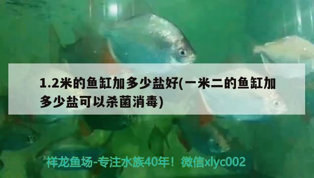 1.2米的魚缸加多少鹽好(一米二的魚缸加多少鹽可以殺菌消毒) 魚缸凈水劑