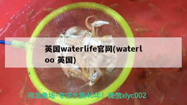 英國(guó)waterlife官網(wǎng)(waterloo英國(guó))