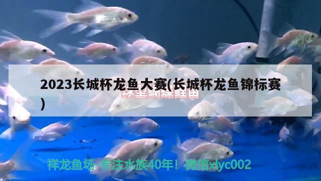 2023長(zhǎng)城杯龍魚(yú)大賽(長(zhǎng)城杯龍魚(yú)錦標(biāo)賽)