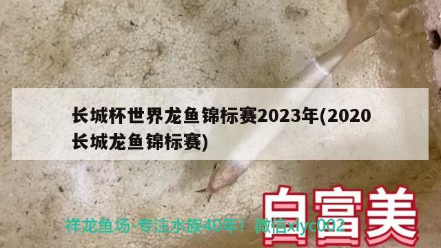 長(zhǎng)城杯世界龍魚(yú)錦標(biāo)賽2023年(2020長(zhǎng)城龍魚(yú)錦標(biāo)賽)