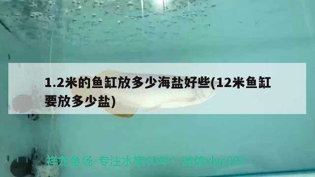 1.2米的魚缸放多少海鹽好些(12米魚缸要放多少鹽)