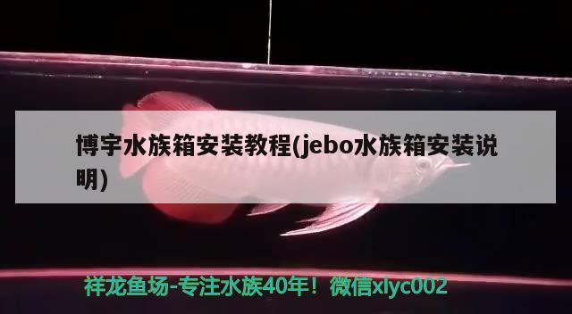 博宇水族箱安裝教程(jebo水族箱安裝說明) 魚缸/水族箱 第1張