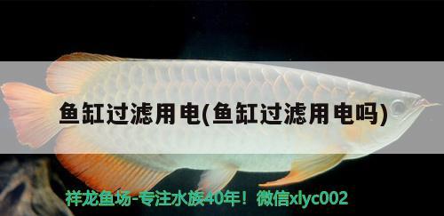 魚缸過濾用電(魚缸過濾用電嗎)