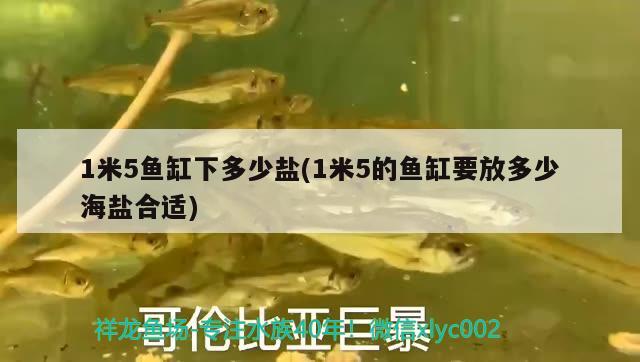 1米5魚缸下多少鹽(1米5的魚缸要放多少海鹽合適) 斑馬鴨嘴魚