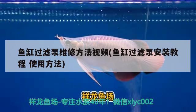 魚缸過濾泵維修方法視頻(魚缸過濾泵安裝教程使用方法) 可麗愛魚缸