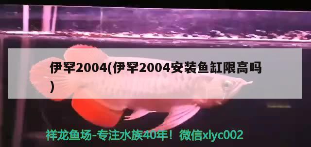 伊罕2004(伊罕2004安裝魚缸限高嗎)