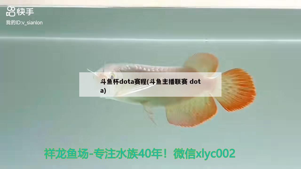 斗魚杯dota賽程(斗魚主播聯(lián)賽dota)