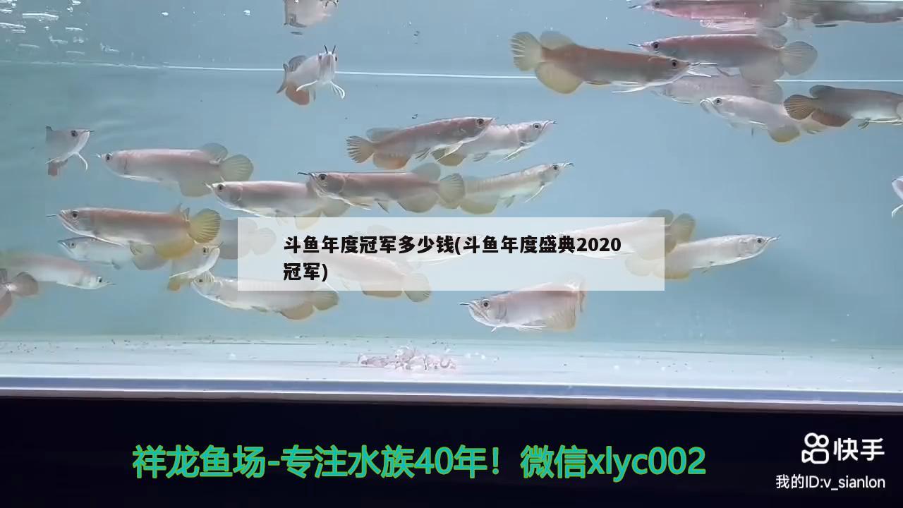 斗魚年度冠軍多少錢(斗魚年度盛典2020冠軍) 2024第28屆中國國際寵物水族展覽會(huì)CIPS（長城寵物展2024 CIPS）