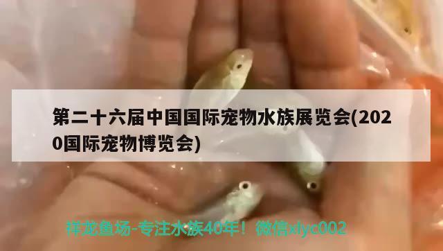 第二十六屆中國國際寵物水族展覽會(2020國際寵物博覽會)