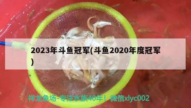 2023年斗魚冠軍(斗魚2020年度冠軍) 2025第29屆中國國際寵物水族展覽會CIPS（長城寵物展2025 CIPS）