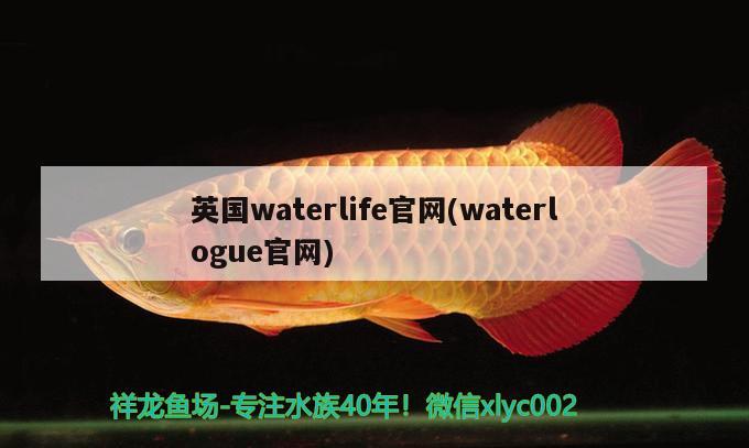 英國waterlife官網(waterlogue官網)