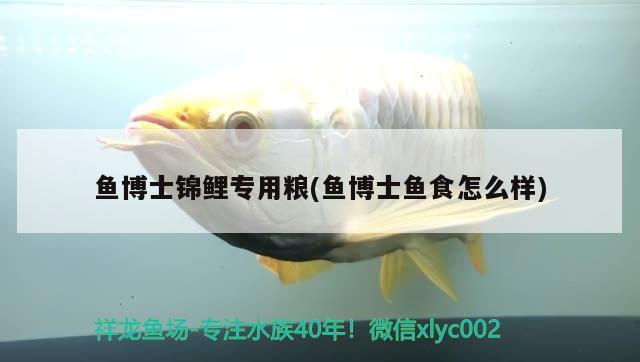 魚博士錦鯉專用糧(魚博士魚食怎么樣)