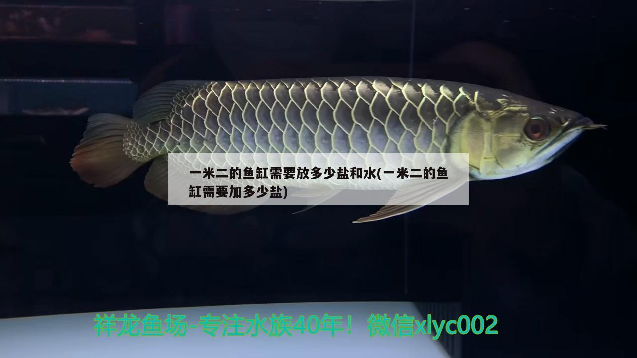 一米二的魚缸需要放多少鹽和水(一米二的魚缸需要加多少鹽)