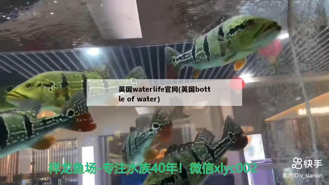 英國waterlife官網(wǎng)(英國bottleofwater)