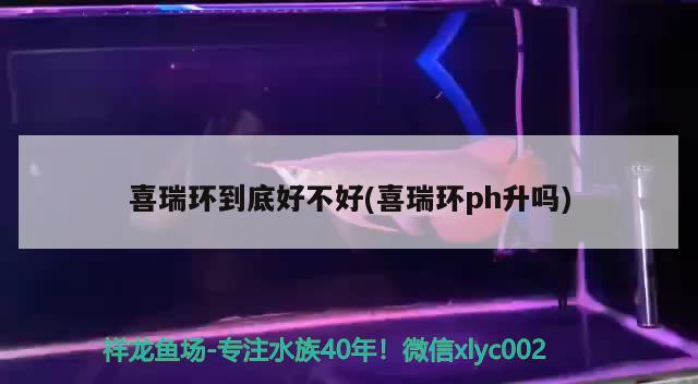 喜瑞環(huán)到底好不好(喜瑞環(huán)ph升嗎) 2024第28屆中國國際寵物水族展覽會CIPS（長城寵物展2024 CIPS）