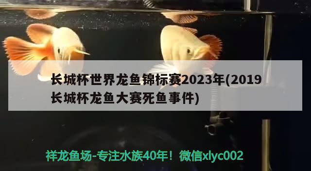 長城杯世界龍魚錦標賽2023年(2019長城杯龍魚大賽死魚事件)