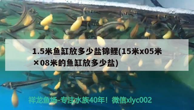 1.5米魚缸放多少鹽錦鯉(15米x05米×08米的魚缸放多少鹽)