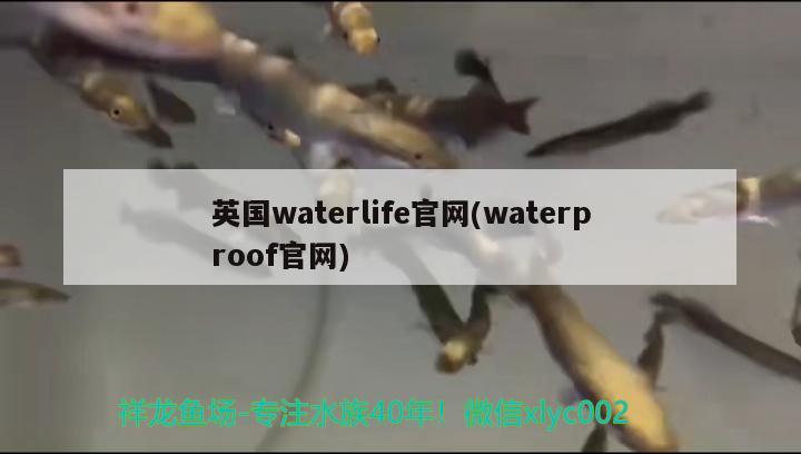 英國waterlife官網(wǎng)(waterproof官網(wǎng))