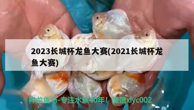 2023長城杯龍魚大賽(2021長城杯龍魚大賽) 2024第28屆中國國際寵物水族展覽會CIPS（長城寵物展2024 CIPS）