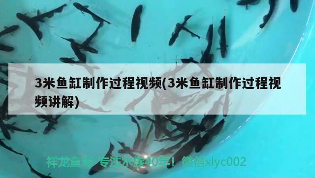 3米魚缸制作過程視頻(3米魚缸制作過程視頻講解) 魚缸定做 第3張