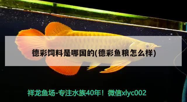 德彩飼料是哪國(guó)的(德彩魚(yú)糧怎么樣) 2025第29屆中國(guó)國(guó)際寵物水族展覽會(huì)CIPS（長(zhǎng)城寵物展2025 CIPS）