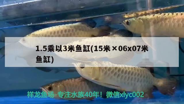 1.5乘以3米魚缸(15米×06x07米魚缸) 魚缸定做