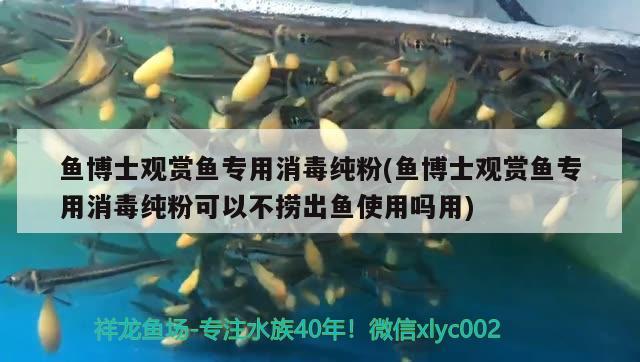 魚博士觀賞魚專用消毒純粉(魚博士觀賞魚專用消毒純粉可以不撈出魚使用嗎用) 2024第28屆中國(guó)國(guó)際寵物水族展覽會(huì)CIPS（長(zhǎng)城寵物展2024 CIPS）