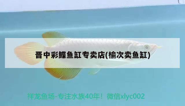 晉中彩鰈魚缸專賣店(榆次賣魚缸) 彩鰈魚缸（彩蝶魚缸）