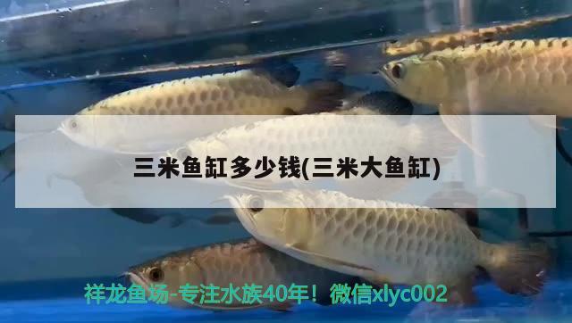 三米魚缸多少錢(三米大魚缸)