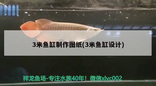 3米魚缸制作圖紙(3米魚缸設(shè)計(jì))