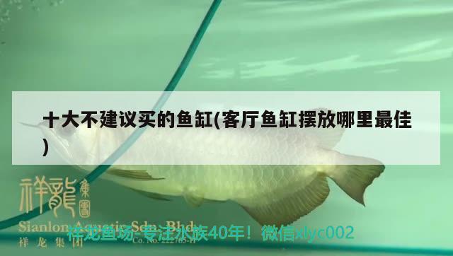 十大不建議買的魚缸(客廳魚缸擺放哪里最佳) 觀賞魚