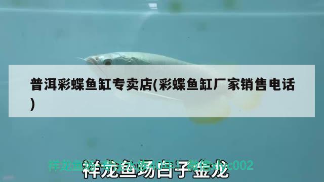 普洱彩蝶魚缸專賣店(彩蝶魚缸廠家銷售電話)