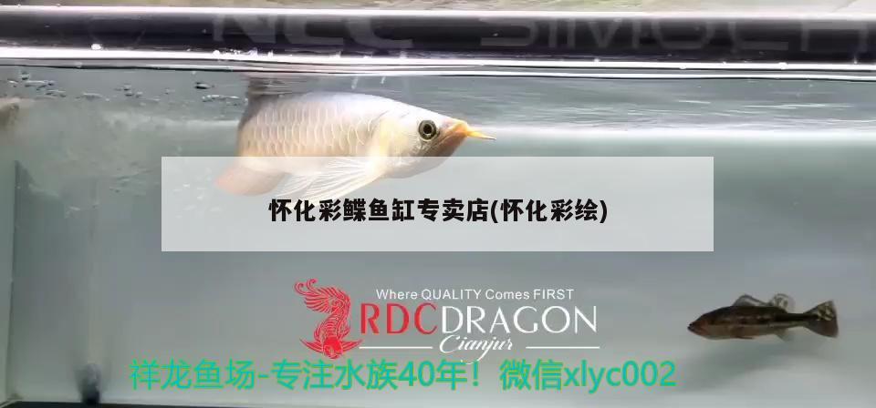 懷化彩鰈魚缸專賣店(懷化彩繪) 彩鰈魚缸（彩蝶魚缸）