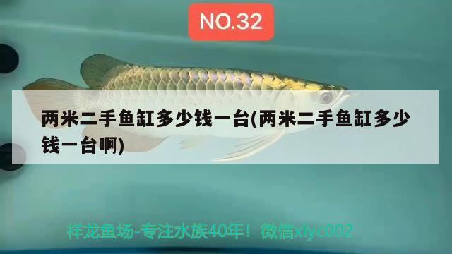 兩米二手魚缸多少錢一臺(tái)(兩米二手魚缸多少錢一臺(tái)啊) 南美異型魚