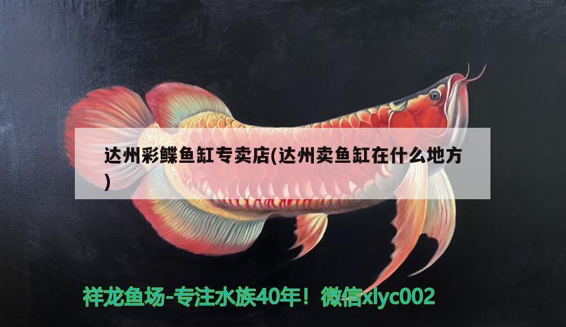 達(dá)州彩鰈魚(yú)缸專賣店(達(dá)州賣魚(yú)缸在什么地方)