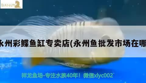 永州彩鰈魚缸專賣店(永州魚批發(fā)市場在哪)