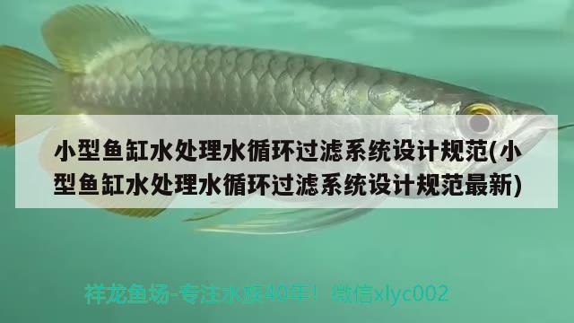 小型魚缸水處理水循環(huán)過濾系統(tǒng)設(shè)計規(guī)范(小型魚缸水處理水循環(huán)過濾系統(tǒng)設(shè)計規(guī)范最新) 圖騰金龍魚