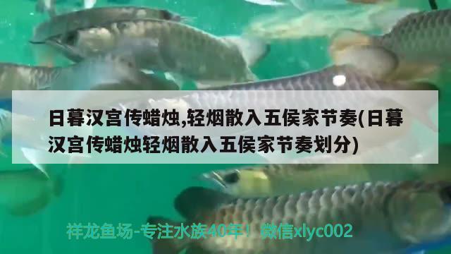 日暮漢宮傳蠟燭,輕煙散入五侯家節(jié)奏(日暮漢宮傳蠟燭輕煙散入五侯家節(jié)奏劃分)