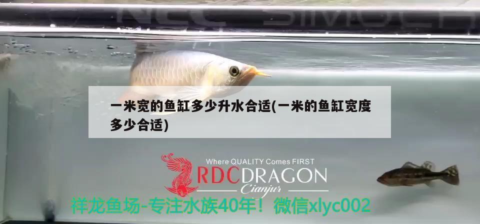 一米寬的魚(yú)缸多少升水合適(一米的魚(yú)缸寬度多少合適)