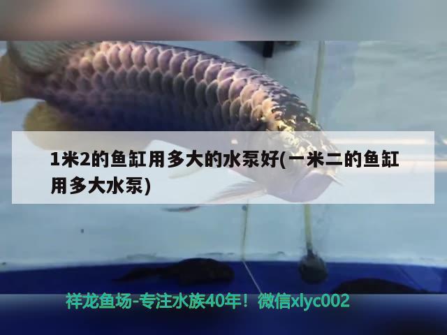 1米2的魚缸用多大的水泵好(一米二的魚缸用多大水泵)