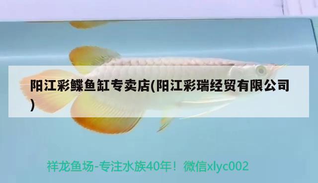 陽江彩鰈魚缸專賣店(陽江彩瑞經(jīng)貿(mào)有限公司) 彩鰈魚缸（彩蝶魚缸）