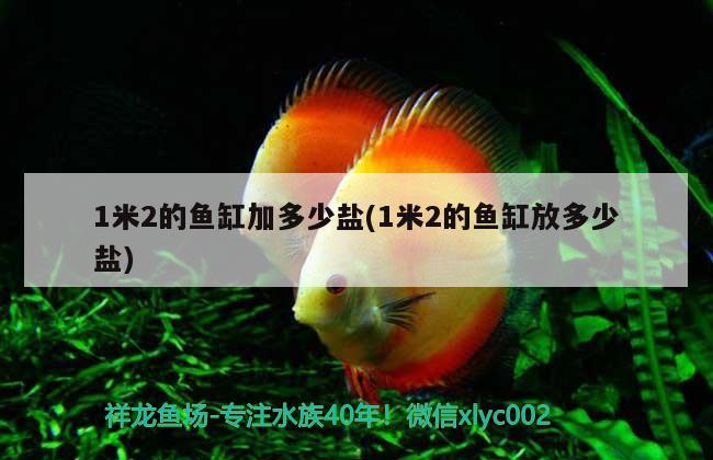 1米2的魚缸加多少鹽(1米2的魚缸放多少鹽) 大白鯊魚 第1張