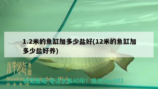 1.2米的魚(yú)缸加多少鹽好(12米的魚(yú)缸加多少鹽好養(yǎng)) 觀賞龜/鱉飼料