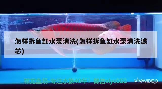 怎樣拆魚缸水泵清洗(怎樣拆魚缸水泵清洗濾芯)