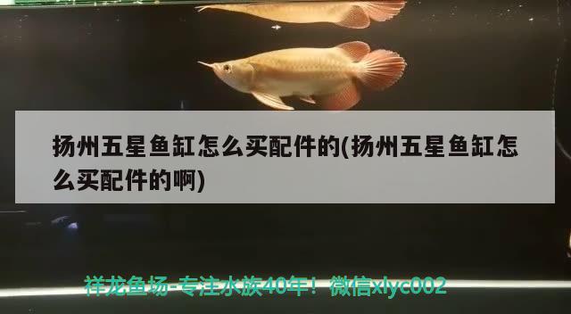 揚州五星魚缸怎么買配件的(揚州五星魚缸怎么買配件的啊)